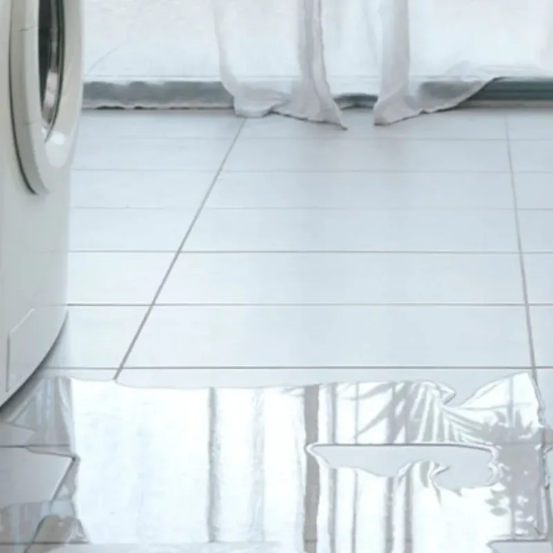 Appliance Leak Cleanup in Conway, SC